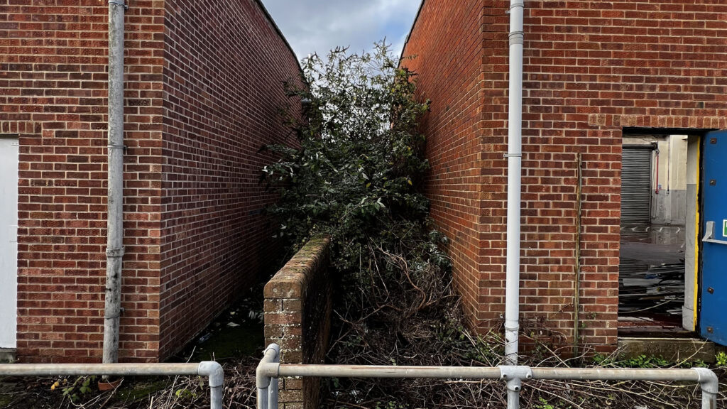 What Happens If You Ignore Party Wall Etiquette Richmond
