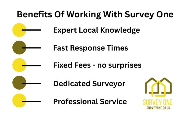 Benefits Of Working With Survey One Richmond